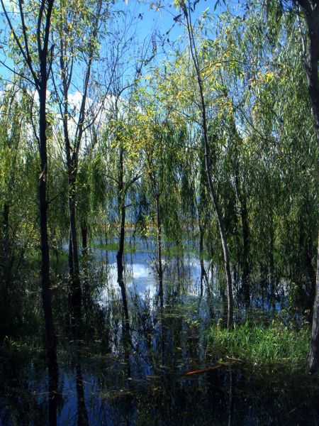 6水彩小景.JPG