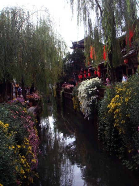 15丽江街景.JPG
