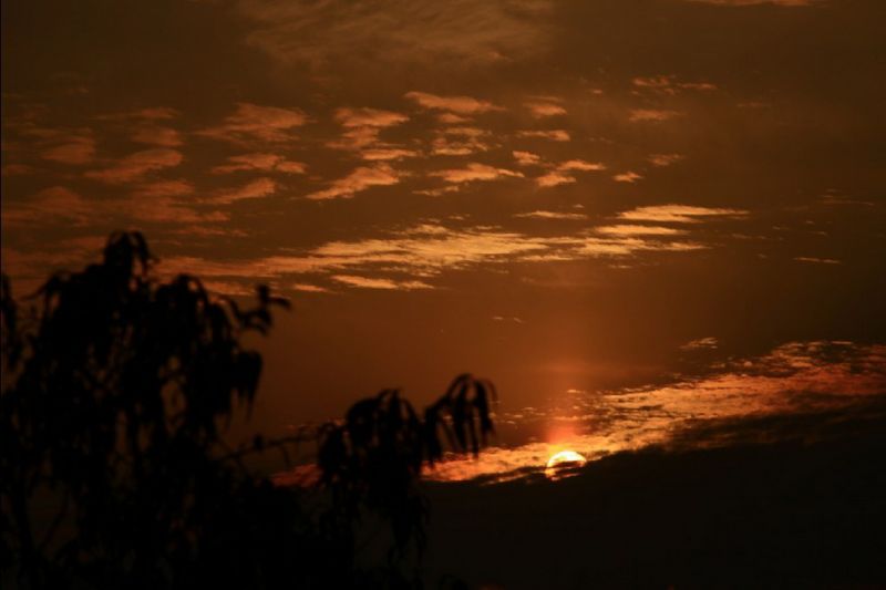 今天6.jpg