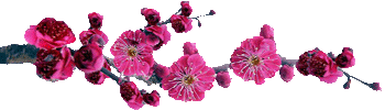 7.gif