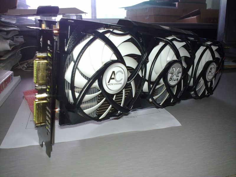 201011261248.jpg