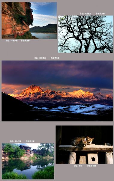 无标题-8.jpg