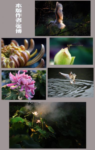 无标题-20.jpg
