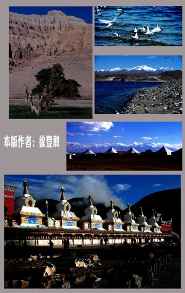 无标题-28.jpg