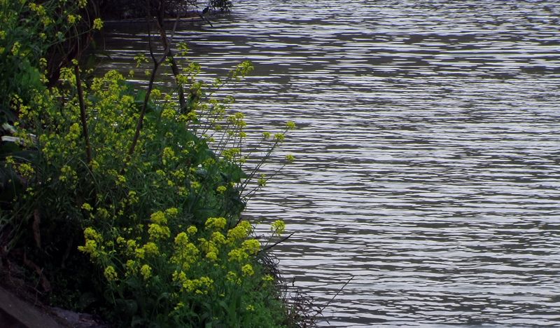 PIC_0225.jpg