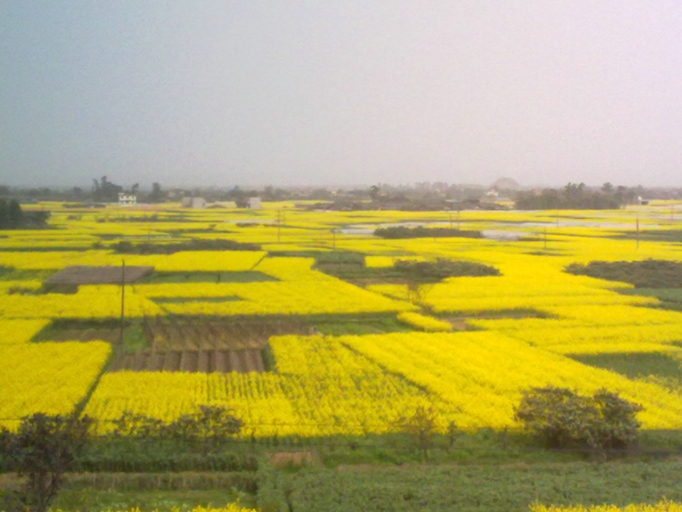 20110315209.jpg