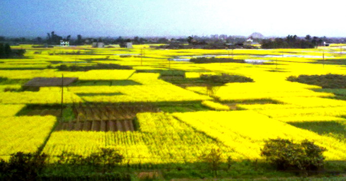 20110315209[1].jpg