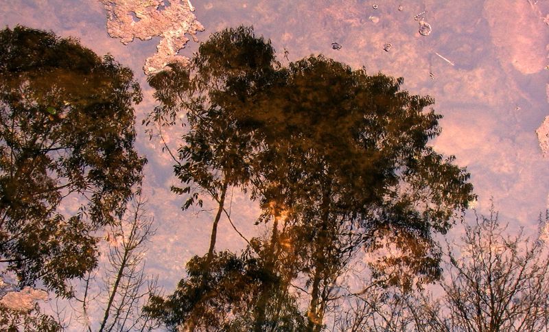 PIC_0198.jpg