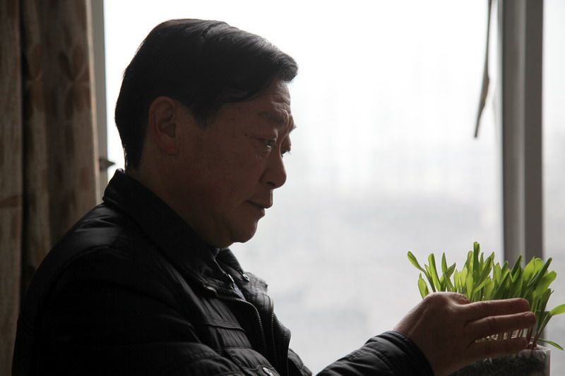 精心新种苗.jpg