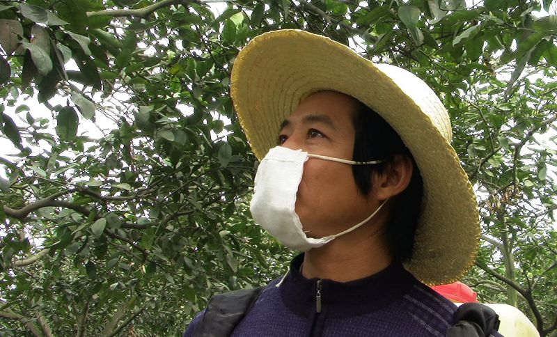为果树喷药.jpg