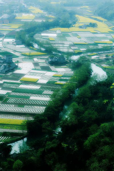旋转 IMG_5220.JPG