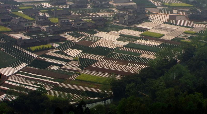 大地诗行2.jpg