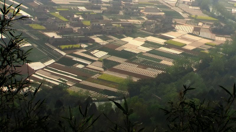大地诗行3.jpg
