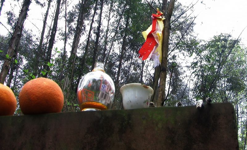 PIC_0399.jpg
