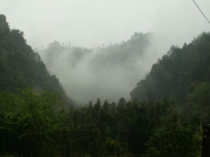 雾升腾1