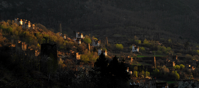 DSC_0198.jpg