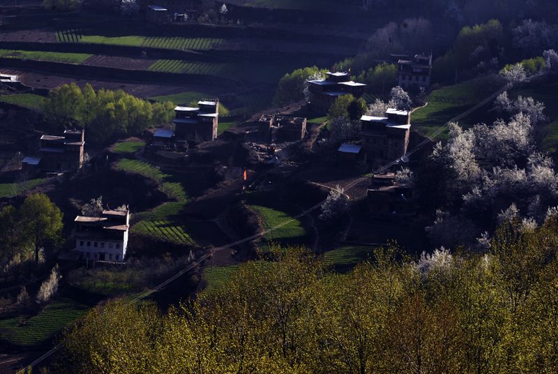 3.阳光下的藏债.JPG