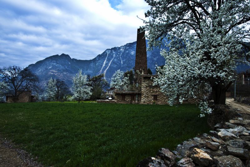 DSC_7901.jpg