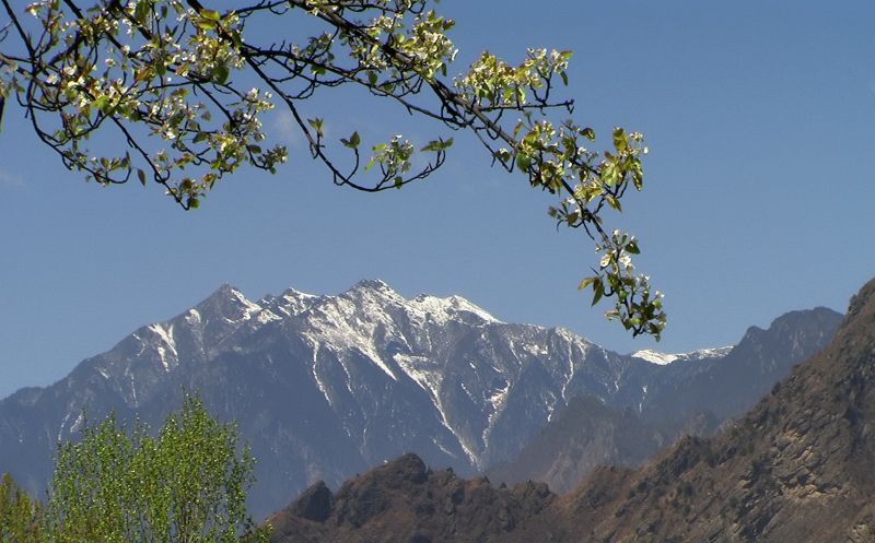 远眺四姑娘山.jpg