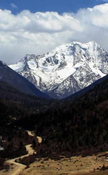 雅拉雪山.jpg