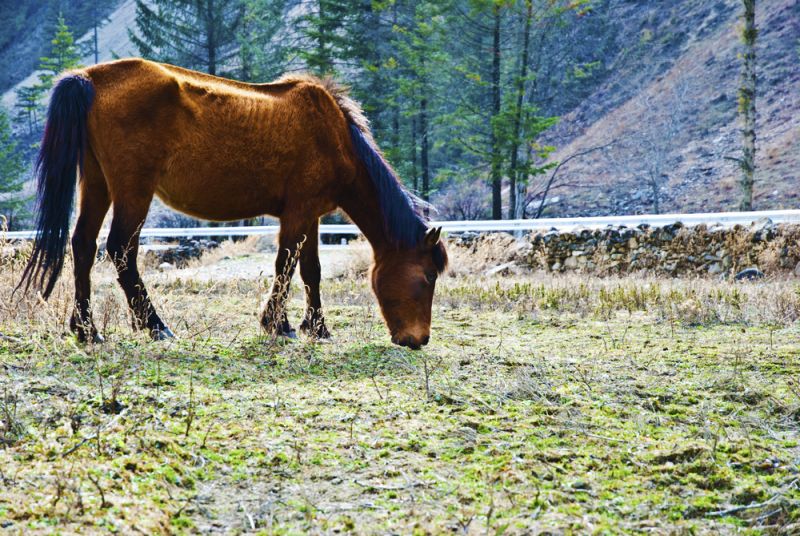 DSC_8456.jpg