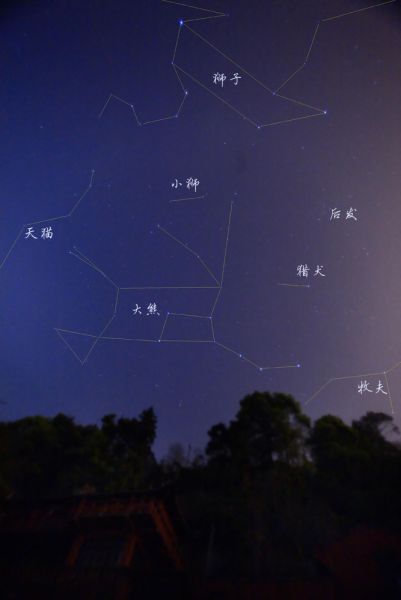 大熊与狮子连线.jpg