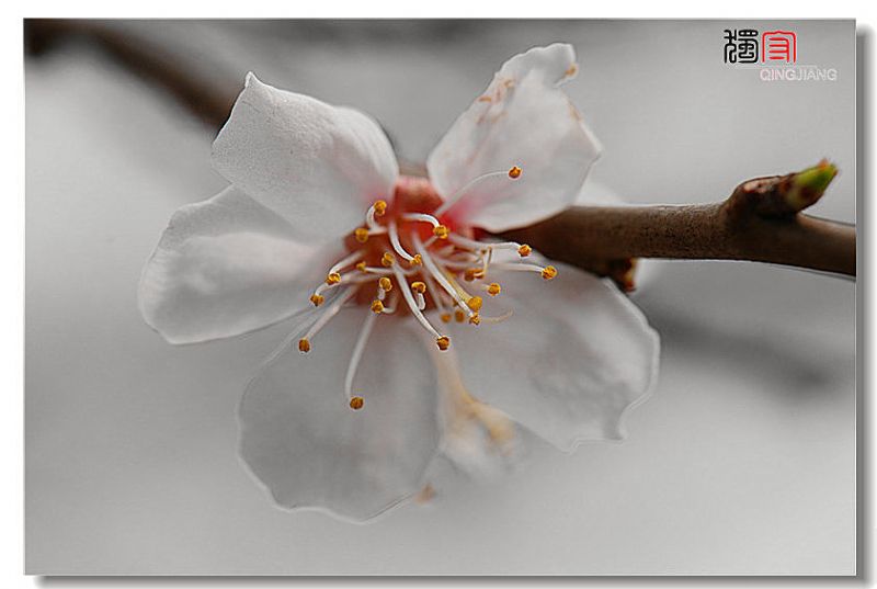 dsc_8287_副本.jpg