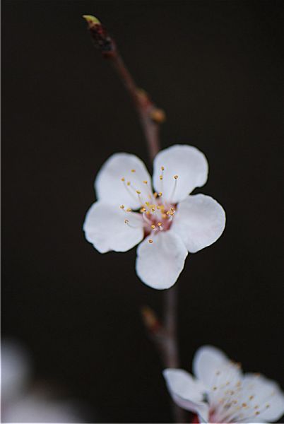dsc_8365_副本.jpg