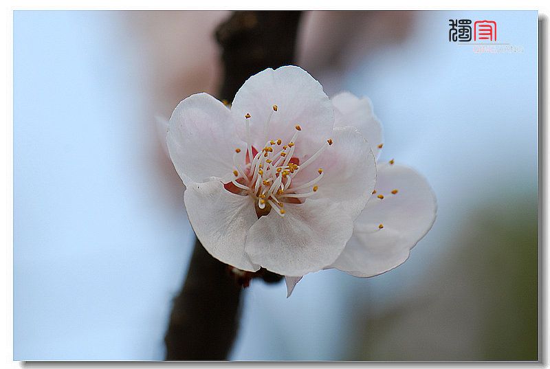 DSC_8442.jpg