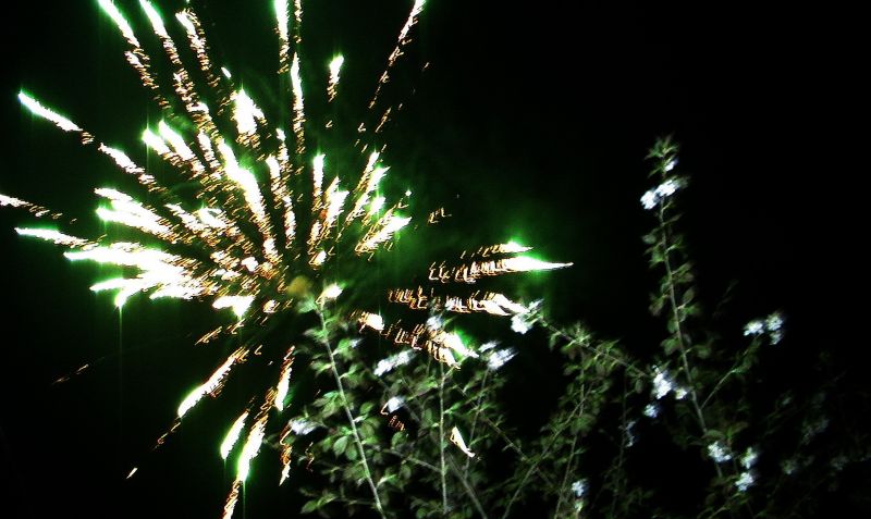 PIC_0634.jpg