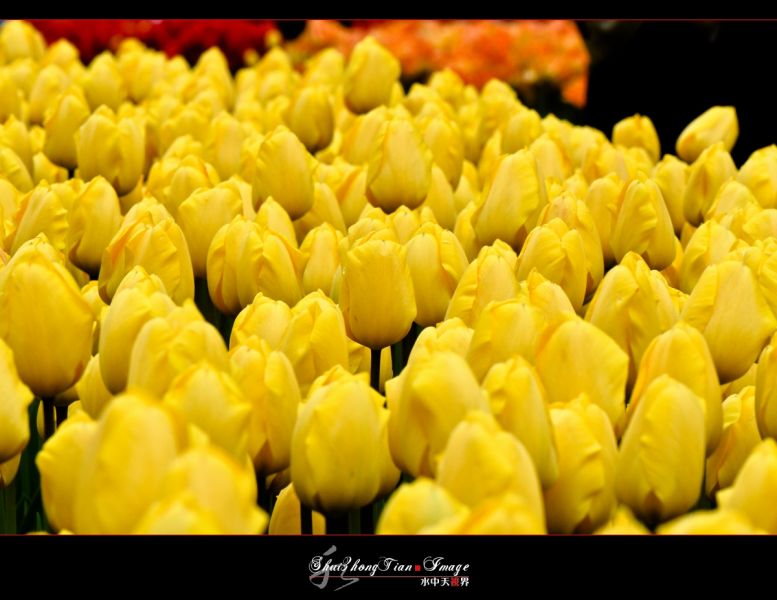 DSC_5882.jpg
