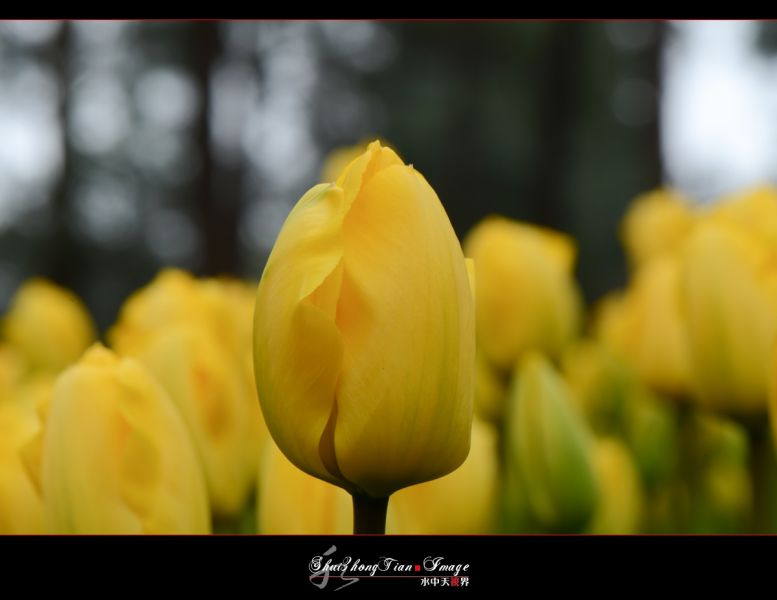 DSC_5920.jpg