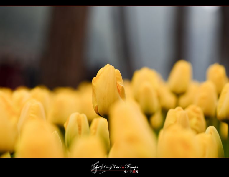 DSC_5931.jpg