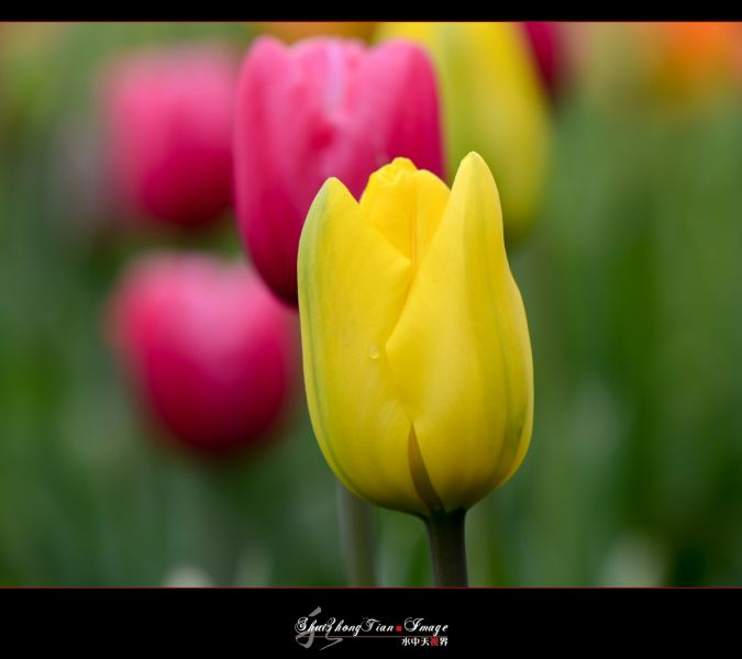 DSC_5938.jpg