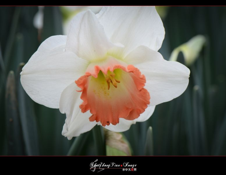 DSC_5996.jpg