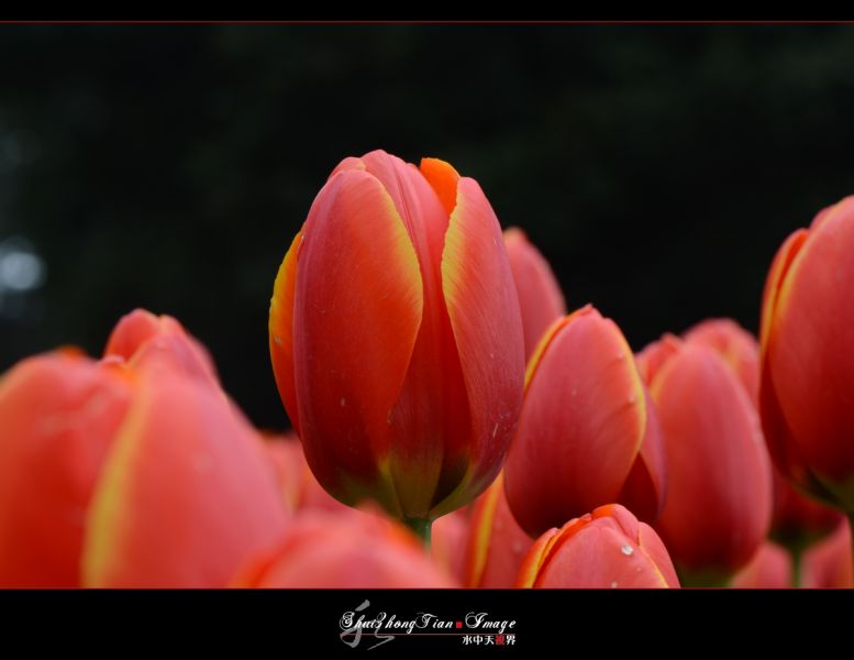 DSC_6034.jpg