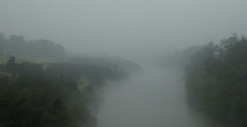 雾漫周河.jpg