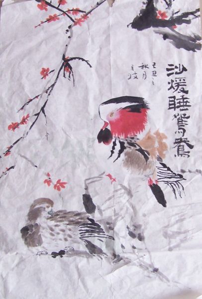 沙暖睡鸳鸯.jpg