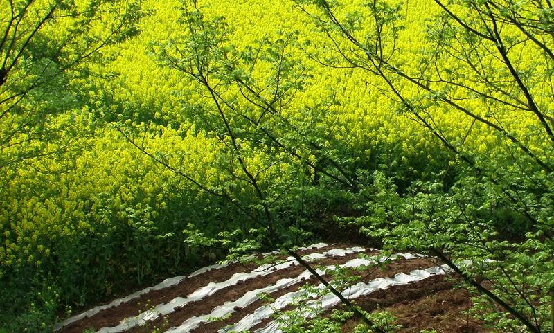 PIC_0298.jpg