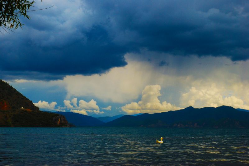 DSC_2957.jpg