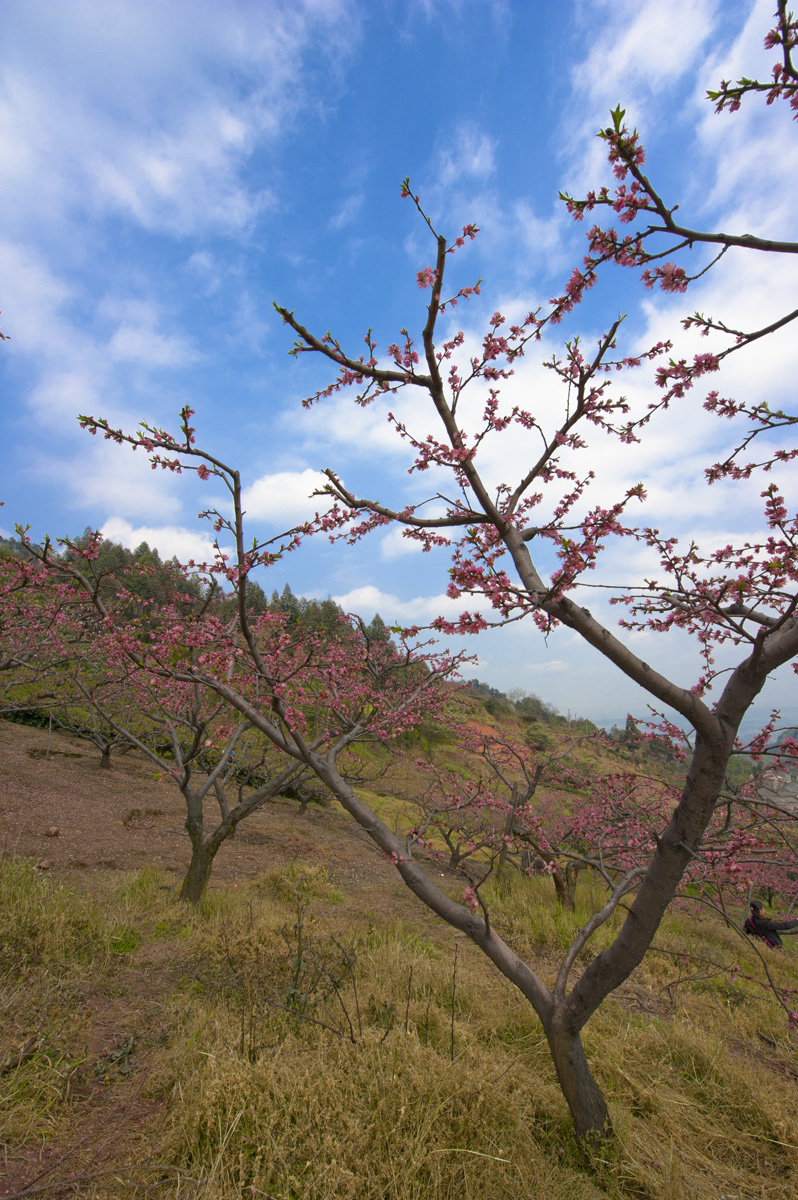 DSC_3890.jpg