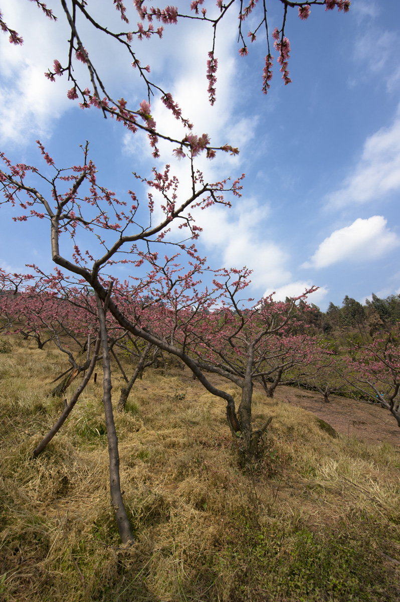 DSC_3891.jpg