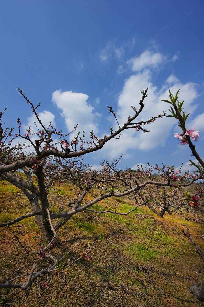 DSC_3908.jpg