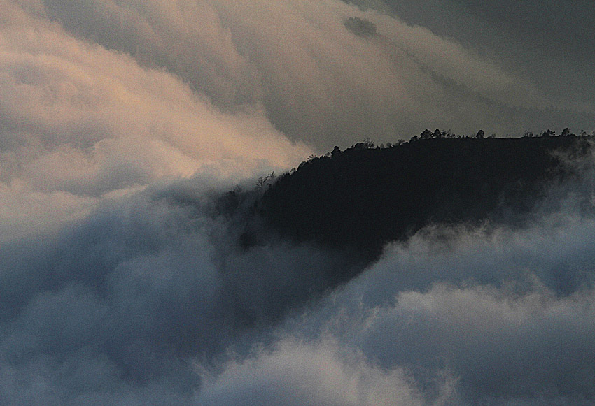 IMG_7715 副本 2.jpg