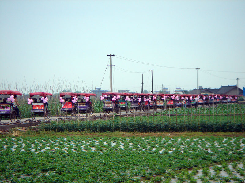 4田野的风景.JPG