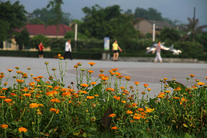 IMG_8642 副本.jpg