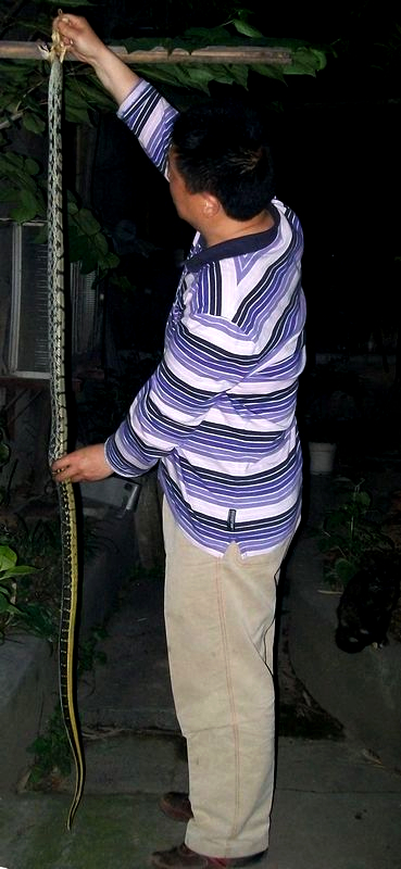 100_0570.jpg