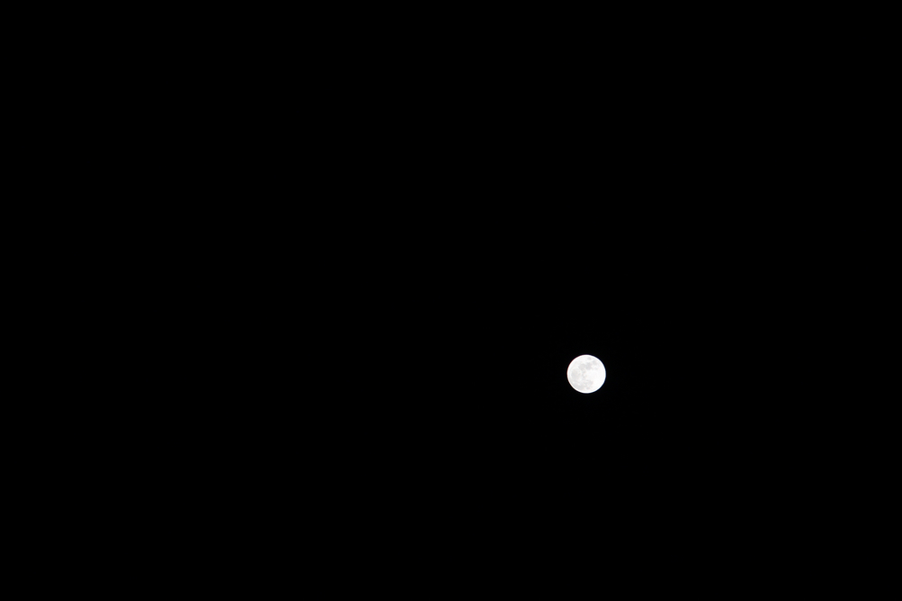 6.JPG