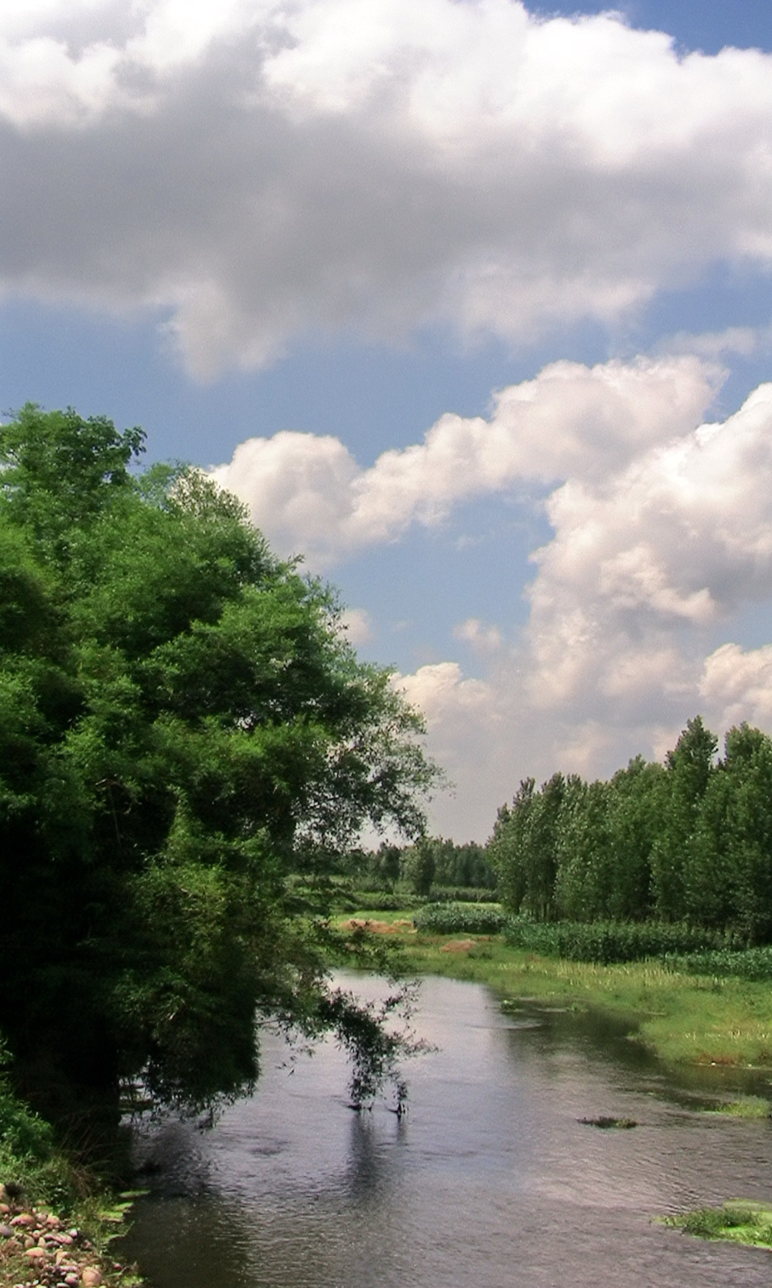 盘渡河.jpg