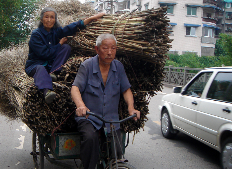回家的路.JPG